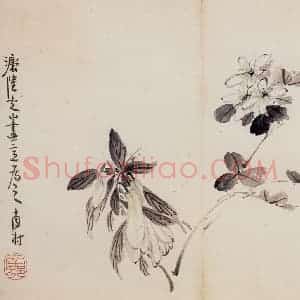 清代 高凤翰《花卉册十开》国画花鸟作品图片赏析