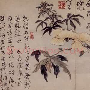 清代 高凤翰《杂画册十开》国画花鸟作品图片赏析