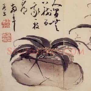 清代 高凤翰《花卉册》国画花鸟作品图片赏析