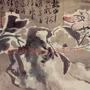 清代 高凤翰《花卉册》国画花鸟作品图片赏析