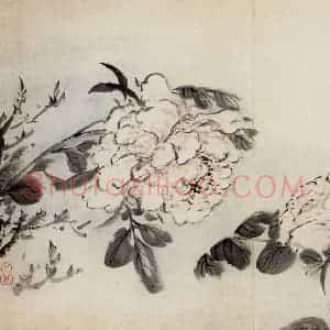 清代 高凤翰《花卉册十开》国画花鸟作品图片赏析