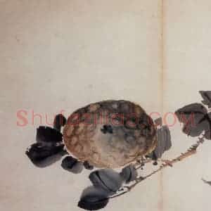 清代 高凤翰《花卉册》国画花鸟作品图片赏析