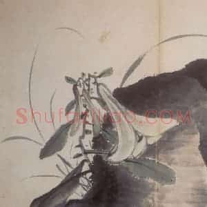 清代 高凤翰《花卉册》国画花鸟作品图片赏析