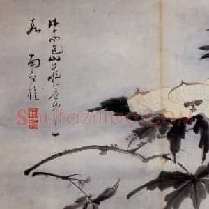清代 高凤翰《花卉册》国画花鸟作品图片赏析