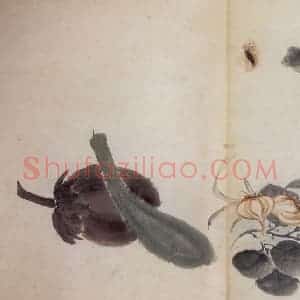 清代 高凤翰《花卉册》国画花鸟作品图片赏析