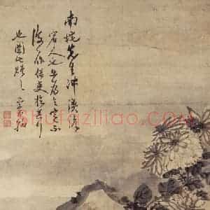 清代 高凤翰《菊石图》国画花鸟作品图片赏析