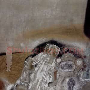 1997年 唐勇力《敦煌之梦》国画人物作品图片赏析