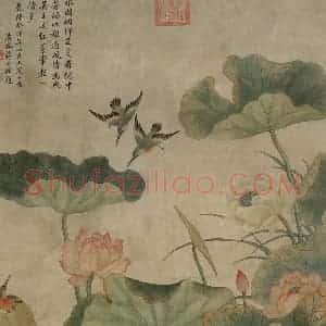 清代 蒋廷锡《荷花翠鸟》国画花鸟作品图片赏析