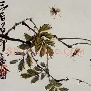 民国 齐璜《草虫》国画花鸟作品图片赏析