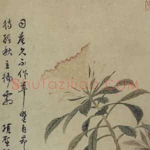 明代 项圣谟《山水花卉图册》国画花鸟作品图片赏析