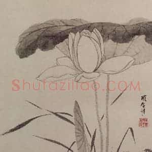 明代 项圣谟《花卉图册》国画花鸟作品图片赏析