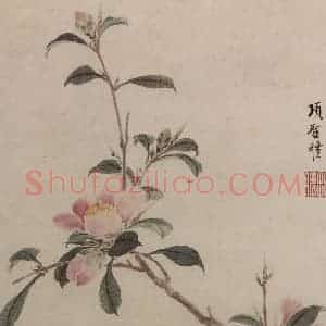 明代 项圣谟《花卉图册》国画花鸟作品图片赏析