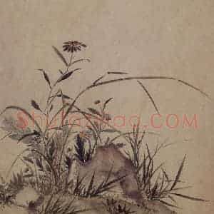 明代 项圣谟《易庵妙绘图册》国画花鸟作品图片赏析