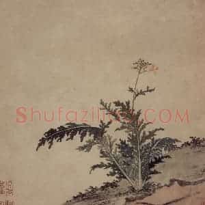 明代 项圣谟《易庵妙绘图册》国画花鸟作品图片赏析