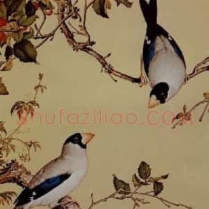 清代 朗世宁《仙萼长春图——樱桃》国画花鸟作品图片赏析