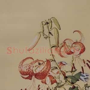 清代 朗世宁《仙萼长春图——百合缠枝牡丹》国画花鸟作品图片赏析