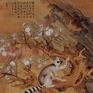 清代 朗世宁《交趾果然图》国画综合作品图片赏析