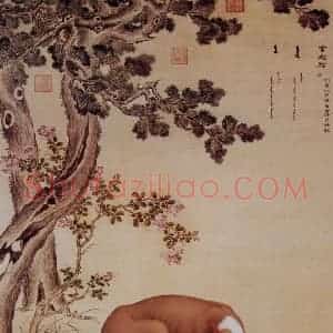 清代 朗世宁《十骏犬——金翅猃》国画作品图片赏析