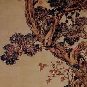 清代 朗世宁《白猿图》国画综合作品图片赏析
