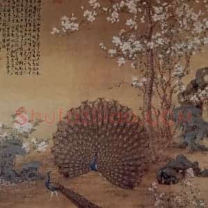 清代 朗世宁《孔雀开屏图》国画花鸟作品图片赏析
