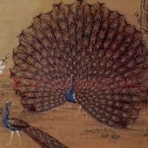 清代 朗世宁《孔雀开屏图》国画花鸟作品图片赏析