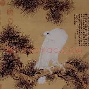 清代 朗世宁《白鹘图》国画花鸟作品图片赏析