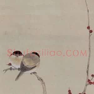 陈之佛《珠梅白茶花》国画花鸟工笔作品图片赏析