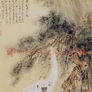 1935年 张泽《白猿》国画花鸟作品图片赏析