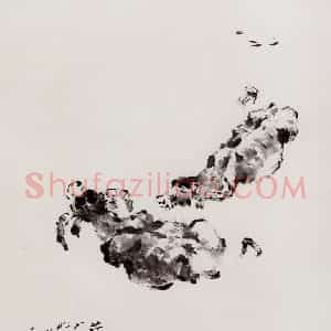 2003年 袁晓岑《劳止》国画花鸟写意作品图片赏析