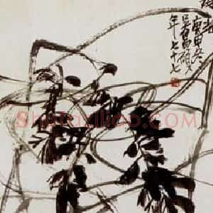 民国 吴昌硕《珠光》国画花鸟作品图片赏析