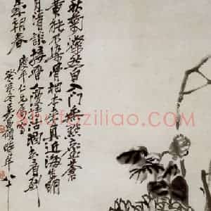 民国 吴昌硕《墨菊》国画花鸟作品图片赏析