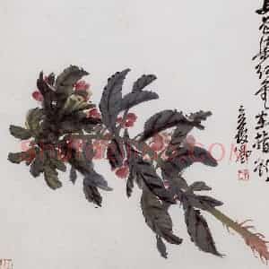 清代 吴昌硕《花卉册》国画花鸟作品图片赏析