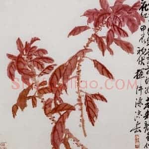 清代 吴昌硕《花卉册》国画花鸟作品图片赏析