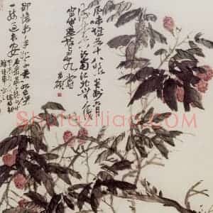 清代 吴昌硕《荔枝》国画花鸟作品图片赏析