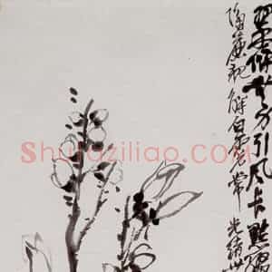 清代 吴昌硕《玉兰》国画花鸟作品图片赏析