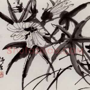 无纪年 陈师曾《秋葵》国画花鸟作品图片赏析
