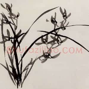 无纪年 陈师曾《花卉册页》国画花鸟作品图片赏析