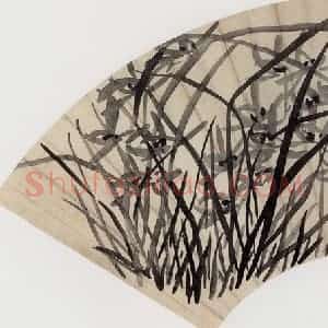 无纪年 陈师曾《墨兰扇面》国画花鸟作品图片赏析