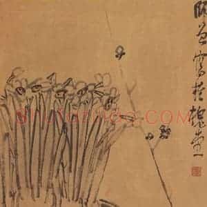 无纪年 陈师曾《清供图》国画花鸟作品图片赏析