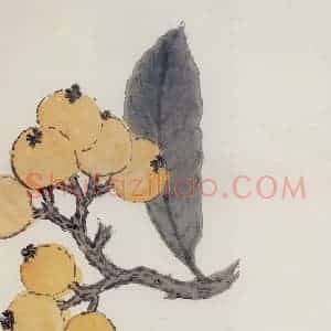 无纪年 陈师曾《枇杷》国画花鸟作品图片赏析