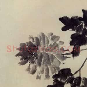 无纪年 陈师曾《墨牡丹》国画花鸟作品图片赏析