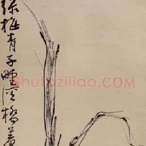 无纪年 陈师曾《梅石》国画花鸟作品图片赏析