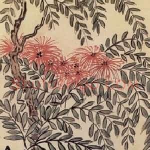 无纪年 陈师曾《花卉四屏》国画花鸟作品图片赏析