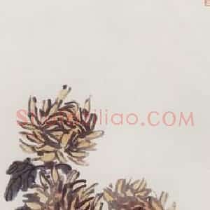 无纪年 陈师曾《菊石》国画花鸟作品图片赏析
