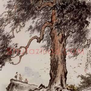 1964年 张安治《庐山梭罗树》国画花鸟作品图片赏析