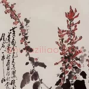1978年 张安治《一串红》国画花鸟作品图片赏析