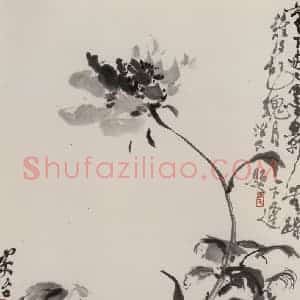 1979年 张安治《墨芍药》国画花鸟作品图片赏析