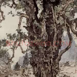 1943年 张安治《青城银杏树》国画花鸟作品图片赏析