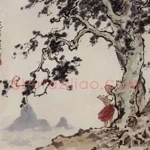 1961年 张安治《白皮松》国画花鸟作品图片赏析