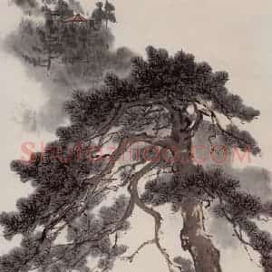1963年 张安治《庐山雨松》国画花鸟作品图片赏析